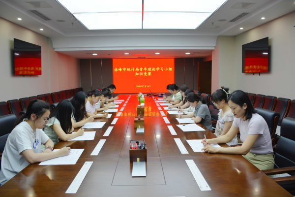 蓝色铸能 数海争锋 ——市统计局开展青年理论学习小组知...